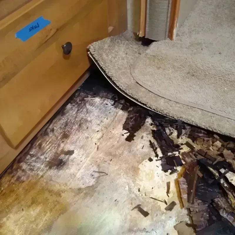 Best Wood Floor Water Damage Service in Pelham, NY